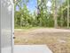 Backyard featuring tall trees and an opening in the middle at 19275 Wildwood Dr, Brooksville, FL 34601