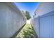 Narrow side yard featuring grass and a privacy fence separating the adjacent houses at 19555 Timberbluff Dr, Land O Lakes, FL 34638