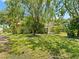 Large, green backyard with mature trees and landscaping at 2068 Diane Ave, Palm Harbor, FL 34683
