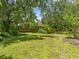 A lush backyard with green grass, mature trees, and a privacy fence at 2068 Diane Ave, Palm Harbor, FL 34683