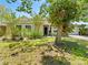 Charming single-story home featuring lush landscaping and a welcoming front entrance at 2068 Diane Ave, Palm Harbor, FL 34683