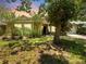 Beautiful single-story home featuring lush landscaping, trees and a welcoming entrance at 2068 Diane Ave, Palm Harbor, FL 34683