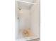 Bathroom shower featuring white tiling and brass fixtures at 2068 Diane Ave, Palm Harbor, FL 34683