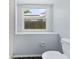 Bathroom featuring toilet near a window with a view of the backyard at 2068 Diane Ave, Palm Harbor, FL 34683
