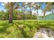 View of side yard showing mature trees and a fence, with a neighboring home in the background at 2141 Coachman Rd, Spring Hill, FL 34608