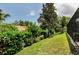 Green backyard features healthy lawn, privacy hedges, and partial view of a screened enclosure at 2455 Anthony Ave, Clearwater, FL 33759