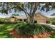 Charming single-story home with a large tree, lush landscaping, and a tile roof at 2455 Anthony Ave, Clearwater, FL 33759