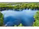 Scenic aerial view of lake with lush green forests around the water at 3663 Berger Rd, Lutz, FL 33548