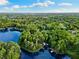 Lovely aerial view of lake and wooded area with docks at 3663 Berger Rd, Lutz, FL 33548