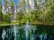 Scenic aerial view of a pond with a fountain, framed by tall trees and natural foliage at 3663 Berger Rd, Lutz, FL 33548