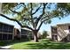 Picturesque condo complex amidst lush landscaping, showcasing mature trees and verdant lawns at 4702 Michael Ct # 139, Tampa, FL 33614