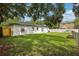 Lush green backyard with well-maintained lawn and privacy fence at 6 N Orion Ave, Clearwater, FL 33765
