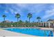 A community pool area showcasing clear blue water, lounge chairs, and palm trees under a sunny sky at 7711 Nottinghill Sky Dr, Apollo Beach, FL 33572