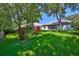 Manicured backyard with mature trees, privacy fence, and tasteful landscaping at 8213 Swann Hollow Dr, Tampa, FL 33647
