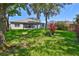 A well-maintained backyard with a fence and mature trees at 8213 Swann Hollow Dr, Tampa, FL 33647