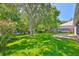 Spacious backyard with lush green grass, mature trees, and a privacy fence at 8213 Swann Hollow Dr, Tampa, FL 33647