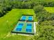 Aerial shot of community pickle ball courts and soccer field at 8213 Swann Hollow Dr, Tampa, FL 33647