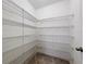Walk-in pantry with metal shelving, offering ample storage space for groceries and household items at 8515 Hunters Fork Loop, Ruskin, FL 33573