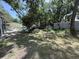 Large backyard with mature trees and plenty of space for outdoor activities at 12319 Memorial Hwy, Tampa, FL 33635