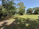 Spacious, sun-drenched front yard surrounded by mature trees at 12319 Memorial Hwy, Tampa, FL 33635