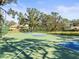 Community basketball court with well-defined lines and hoops, surrounded by mature trees, perfect for outdoor recreation at 13747 Forest Ridge Ct, Hudson, FL 34667