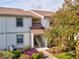Condo exterior with beautiful landscaping and flowering tree near the entrance at 214 Meadow Ln # 214, Oldsmar, FL 34677