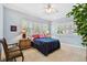 Comfortable bedroom featuring three windows with shutters, carpet, and soothing blue walls at 2404 W Jetton Ave, Tampa, FL 33629