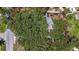 Aerial view of a wooded property with a red line indicating property boundaries and a screened-in pool at 2439 Madrid Ave, Safety Harbor, FL 34695