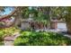Beautifully landscaped home featuring mature trees, lush ferns, and a red-painted front door at 2439 Madrid Ave, Safety Harbor, FL 34695