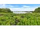 Beautiful water view showcasing lush vegetation, serene waters, and tranquil scenery at 2700 Bayshore Blvd # 544, Dunedin, FL 34698