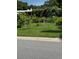 Lush front yard showcasing young trees and well-maintained greenery at 3012 Grand View Ave, Clearwater, FL 33759