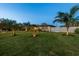 Well-manicured front yard with a lush lawn, mature palm trees, and charming exterior details at 309 Palmetto Ln, Largo, FL 33770