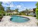 Inviting kidney-shaped pool with paver deck, surrounded by lush landscaping and swaying palm trees at 309 Palmetto Ln, Largo, FL 33770