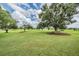 Expansive backyard with mature trees offers plenty of space for outdoor activities at 33744 Americana Ave, Dade City, FL 33525