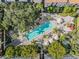 Aerial view of a pristine community pool with lounge chairs and tropical landscaping surrounded by lush greenery at 410 S Armenia Ave # 926, Tampa, FL 33609