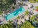 Aerial view of a clear blue community pool with lounge seating, umbrellas, and lush palm trees all around at 410 S Armenia Ave # 926, Tampa, FL 33609