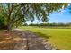 Beautiful golf course view with lush green grass, mature trees, and a picturesque walking path on a sunny day at 4213 Arborwood Ln, Tampa, FL 33618