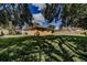 Large grassy backyard featuring partial home view and mature trees at 5004 S Hesperides St, Tampa, FL 33611