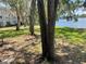 Backyard view with trees and a view of the lake at 7192 E Bank Dr, Tampa, FL 33617