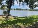 Picturesque lake view framed by lush trees, offering a serene and private waterfront setting at 7192 E Bank Dr, Tampa, FL 33617