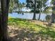 Scenic lake view from a grassy shoreline with mature trees providing shade, enhancing the property's natural beauty at 7192 E Bank Dr, Tampa, FL 33617