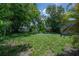 Spacious backyard with lush greenery, providing a private outdoor space at 811 W Peninsular St, Tampa, FL 33603