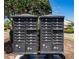 Community mailboxes in a well-maintained neighborhood, enhanced by mature trees and manicured lawns under a clear sky at 835 Symphony Isles Blvd, Apollo Beach, FL 33572