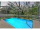 Inviting screened-in pool with crystal clear water, surrounded by lush greenery at 10032 Basin St, New Port Richey, FL 34655