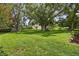 Large, well-maintained backyard with mature trees providing ample shade at 11001 Ridgedale Rd, Temple Terrace, FL 33617