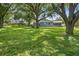 Expansive backyard with mature trees and lush green grass surrounds the property and screened in porch at 11001 Ridgedale Rd, Temple Terrace, FL 33617