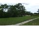 Lush green yard with mature trees and well-maintained lawn, creating a picturesque and serene landscape at 12411 Brookside St, Spring Hill, FL 34609