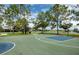 Community basketball court with shelter, picnic tables, and parking at 1601 Fox Grape Loop, Lutz, FL 33558