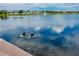 The lake has ducks swimming and a fountain at 1601 Fox Grape Loop, Lutz, FL 33558