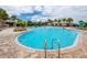 Beautiful community pool with clear blue water, palm trees, and plenty of space for lounging at 1601 Fox Grape Loop, Lutz, FL 33558